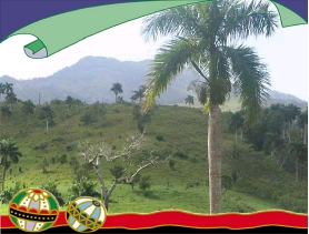 Constanza Tal Dominikanische Republik